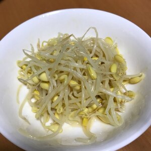 豆もやしのナムル